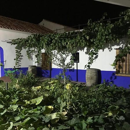 Casa Rural Manchega La Alameda de Cervera Екстер'єр фото