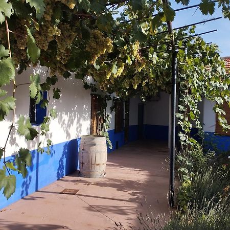Casa Rural Manchega La Alameda de Cervera Екстер'єр фото