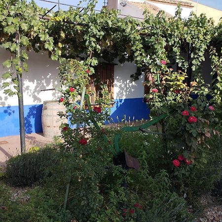 Casa Rural Manchega La Alameda de Cervera Екстер'єр фото