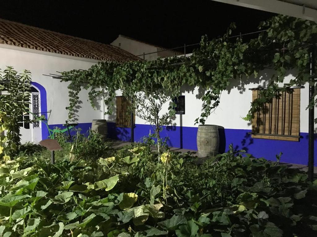 Casa Rural Manchega La Alameda de Cervera Екстер'єр фото