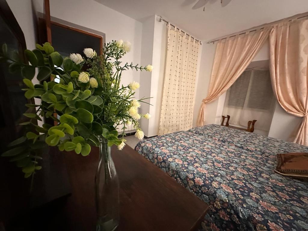 Casa Rural Manchega La Alameda de Cervera Екстер'єр фото