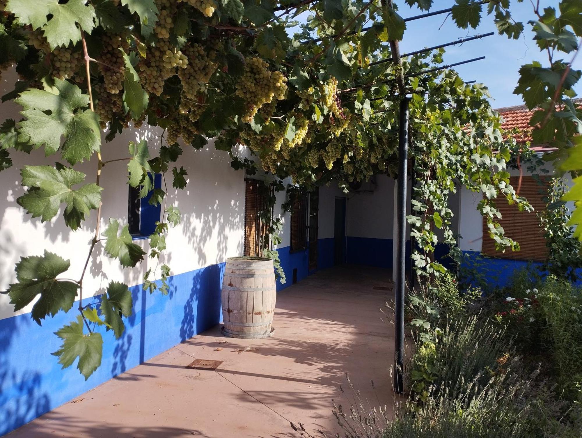 Casa Rural Manchega La Alameda de Cervera Екстер'єр фото