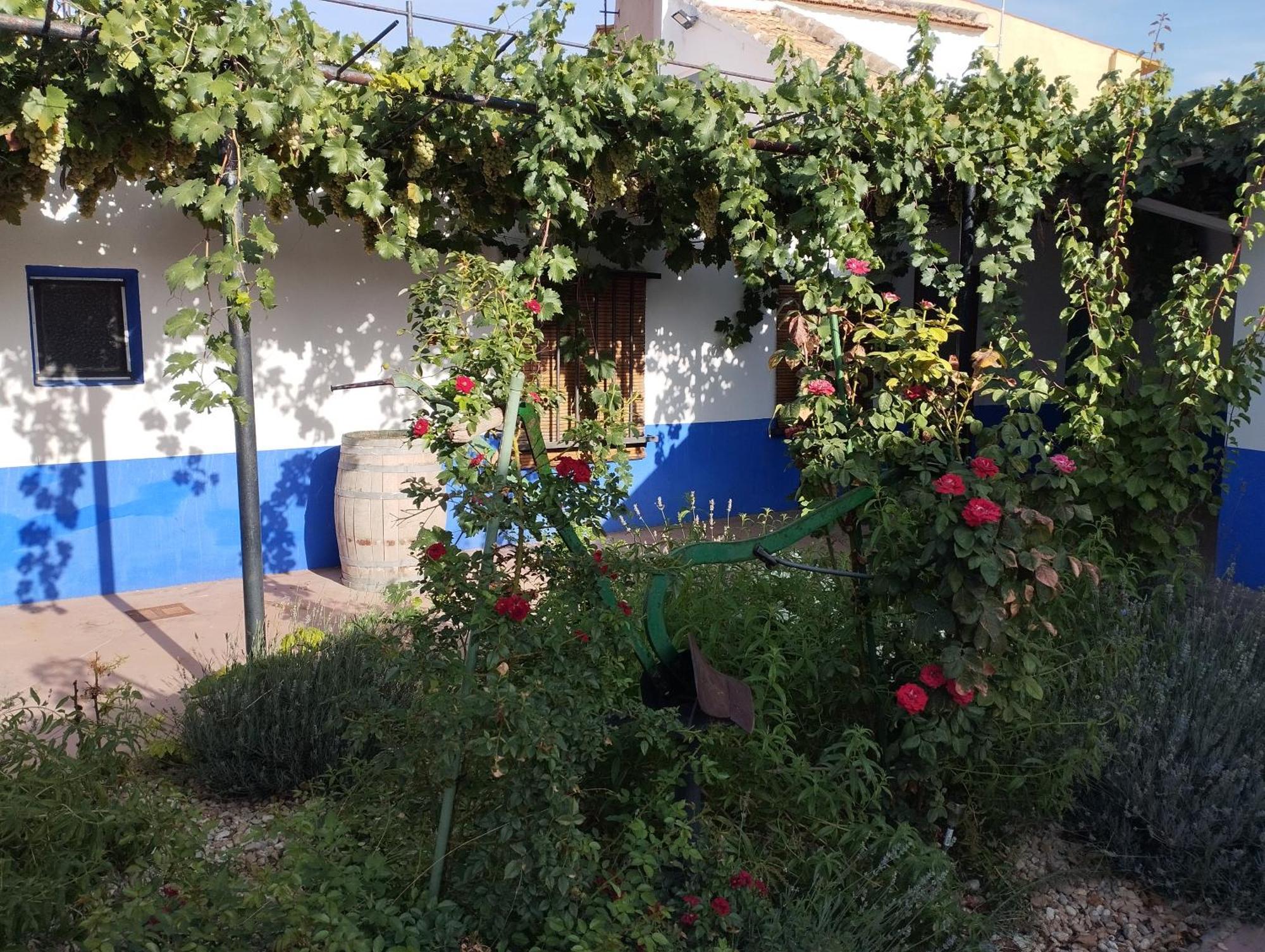 Casa Rural Manchega La Alameda de Cervera Екстер'єр фото